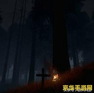 怎么查看原神抽卡出金率 原神抽卡出金率分析