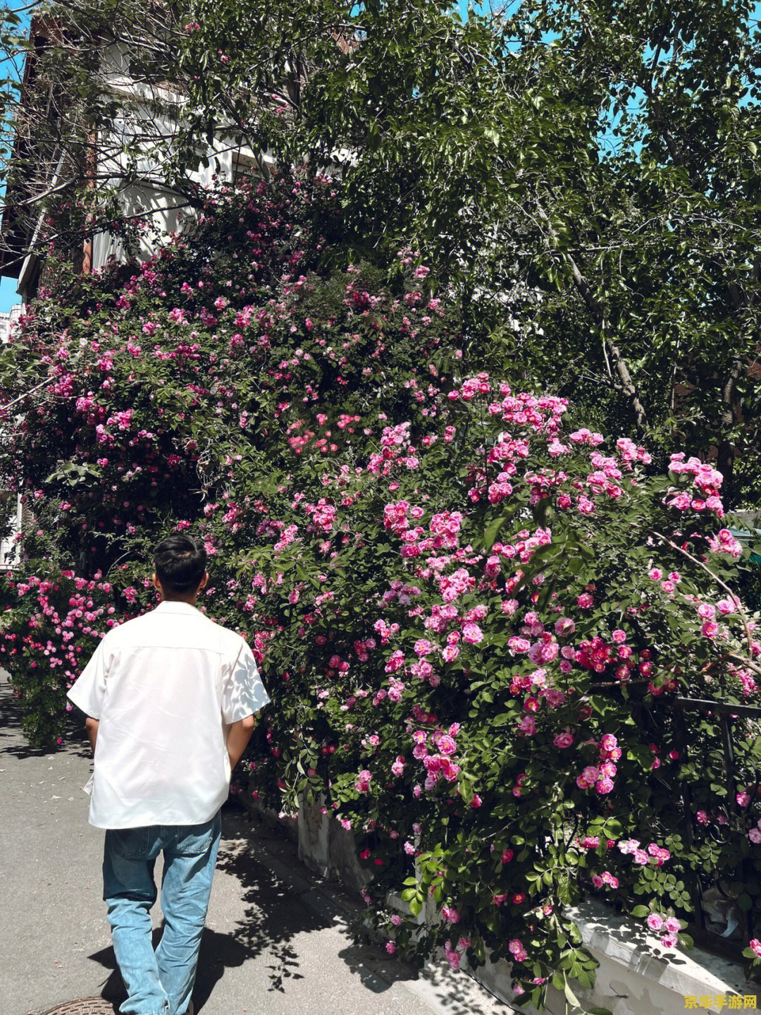 原神八个石碑密室大门位置