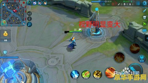 王者荣耀全部去掉曝光 王者荣耀：隐秘英雄背后的故事