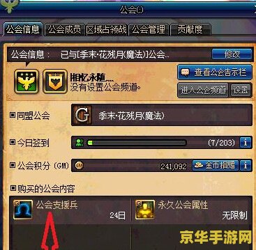 DNF支援兵：游戏中的战略与技巧