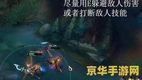 英雄联盟斯维因 英雄联盟：战争之影 赫卡里姆