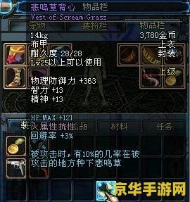 DNF防弹背心：游戏内的重要防护装备
