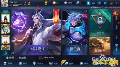 王者荣耀战队限定皮肤多少钱
