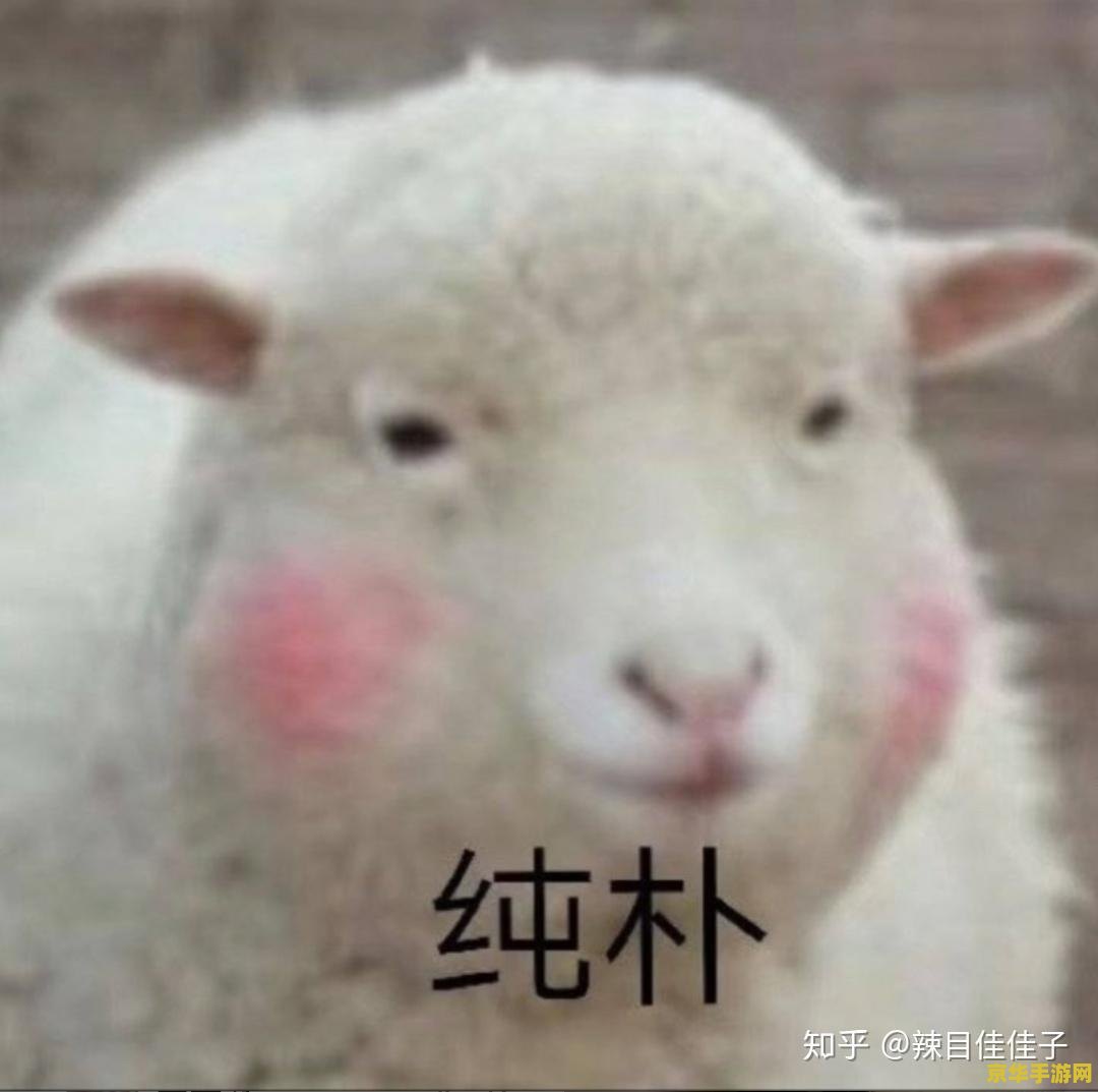 lpl夏季赛时间 LPL夏季赛时间