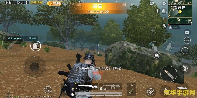 CS1.5透视作弊器：游戏平衡的破坏者