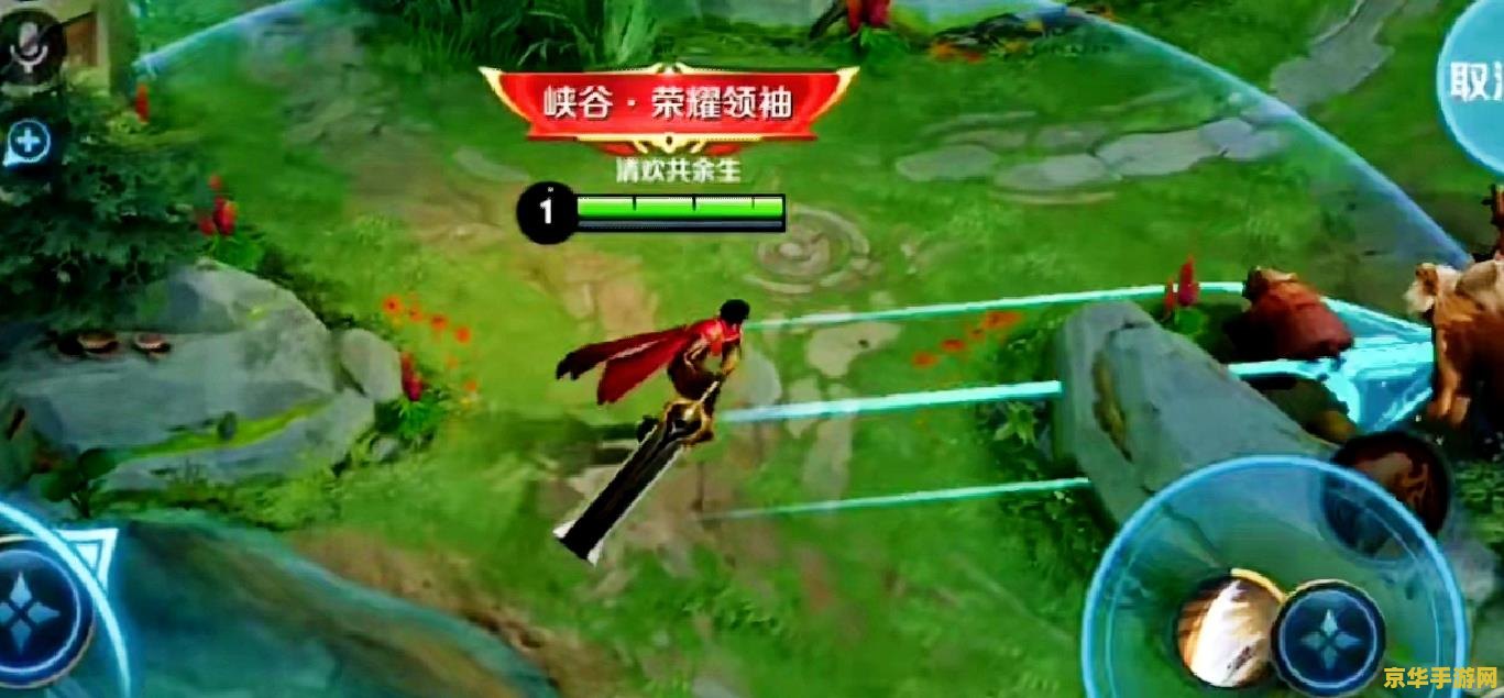 惩戒骑pvp：勇者的荣耀与策略