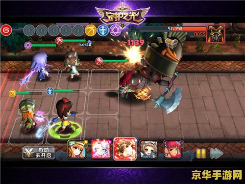 惩戒骑pvp：勇者的荣耀与策略