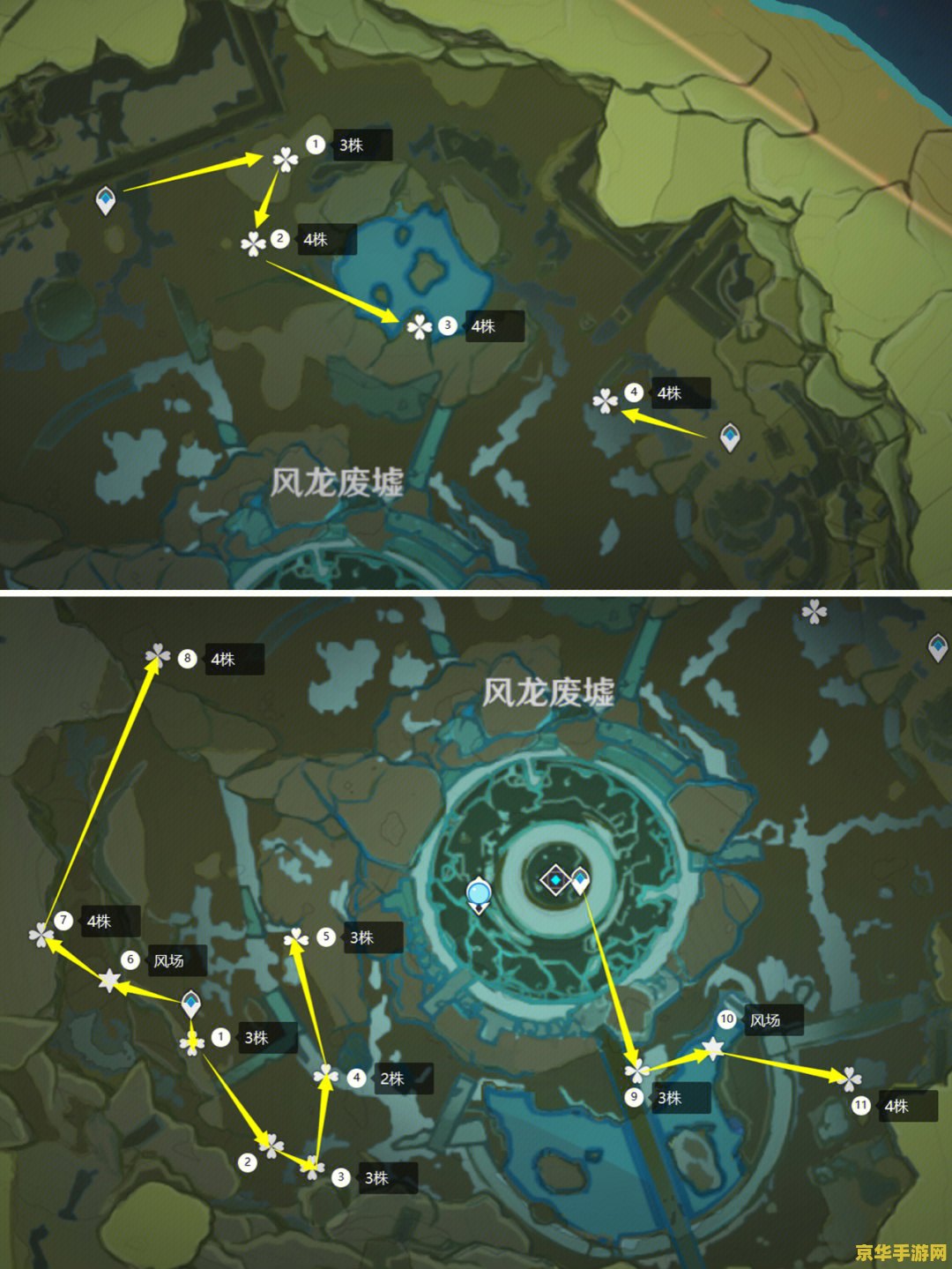 原神风车菊哪里采集