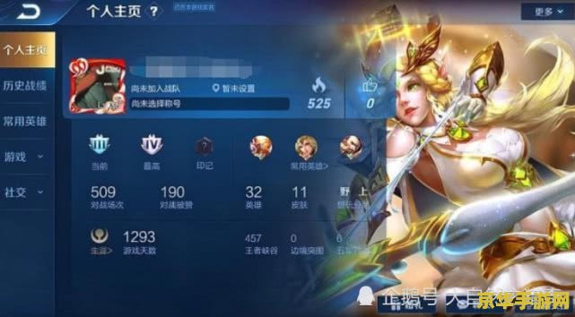 王者荣耀的艾琳账号网站卖多少钱