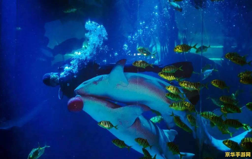 海底世界3D：探索神秘海底世界的奇幻之旅