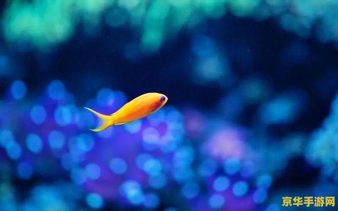 海底世界3D：探索神秘海底世界的奇幻之旅