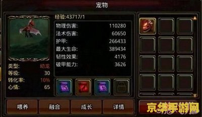英雄战魂战士加点 英雄战魂：战士加点