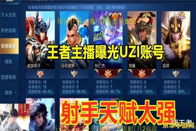 英雄联盟之去rng战队的小说