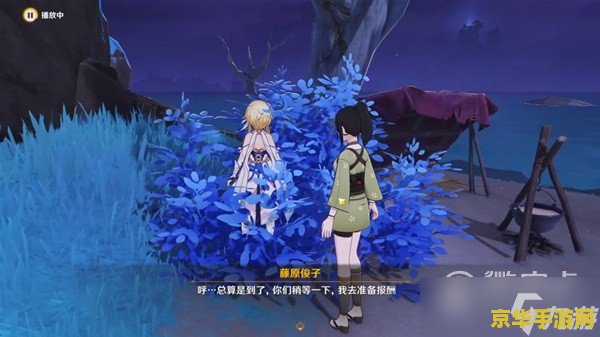 原神有哪些必抓的宠物：游戏攻略心得分享