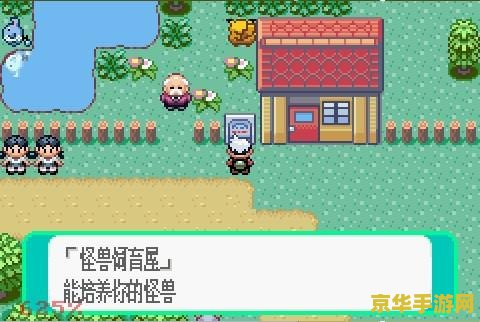 神奇宝贝绿宝石攻略 - 深入探索游戏世界的秘密