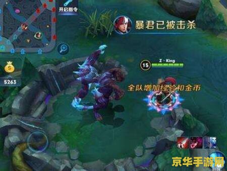 英雄联盟粉龙虾：游戏中的独特魅力与价值