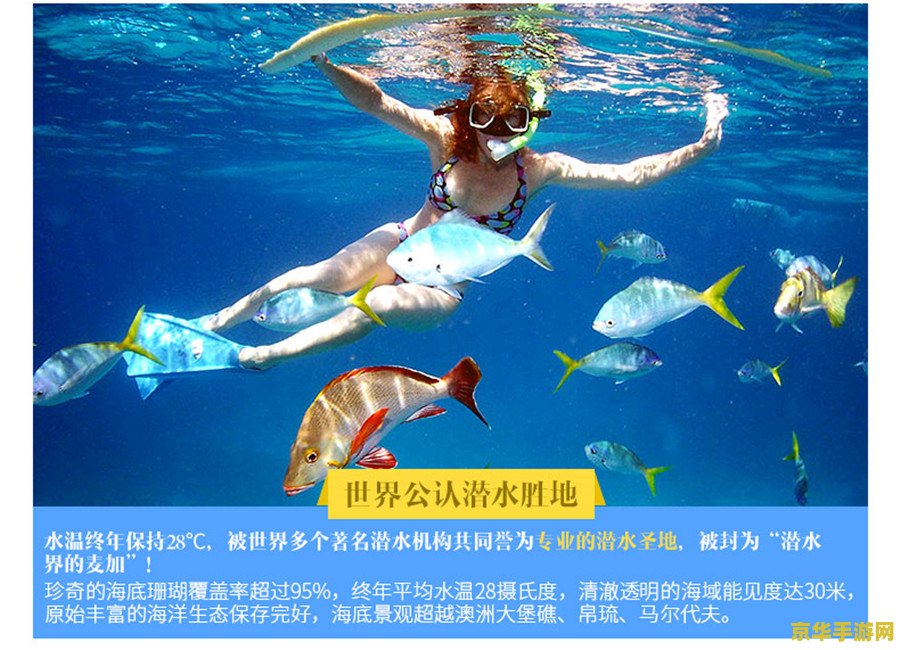 秦时明月刀 游戏名称：秦时明月刀