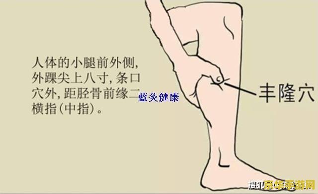 原神琉璃袋准确位置图