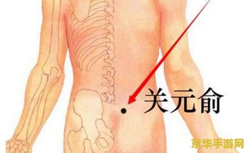 原神琉璃袋准确位置图