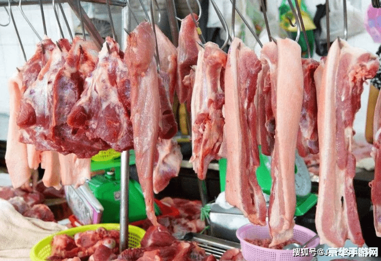 原神冷猪肉哪里获得