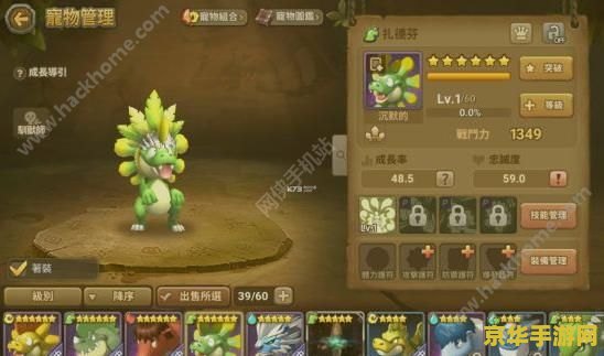 石器时代 宠物