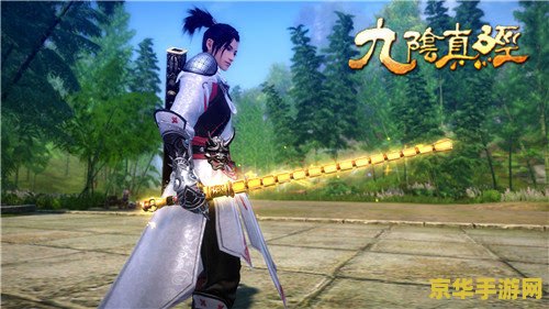 九阴真经风物志：江湖秘境，武林风云