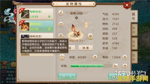 问道怎么加点 问道游戏加点攻略