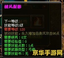 御龙在天弓箭加点