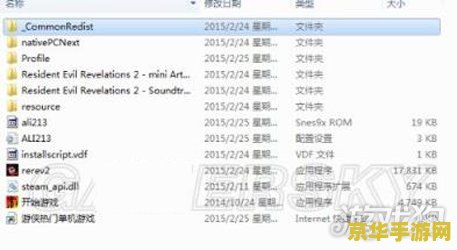 生化危机5修改器跳出问题详解