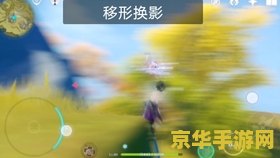 **王者荣耀中什么叫中单**