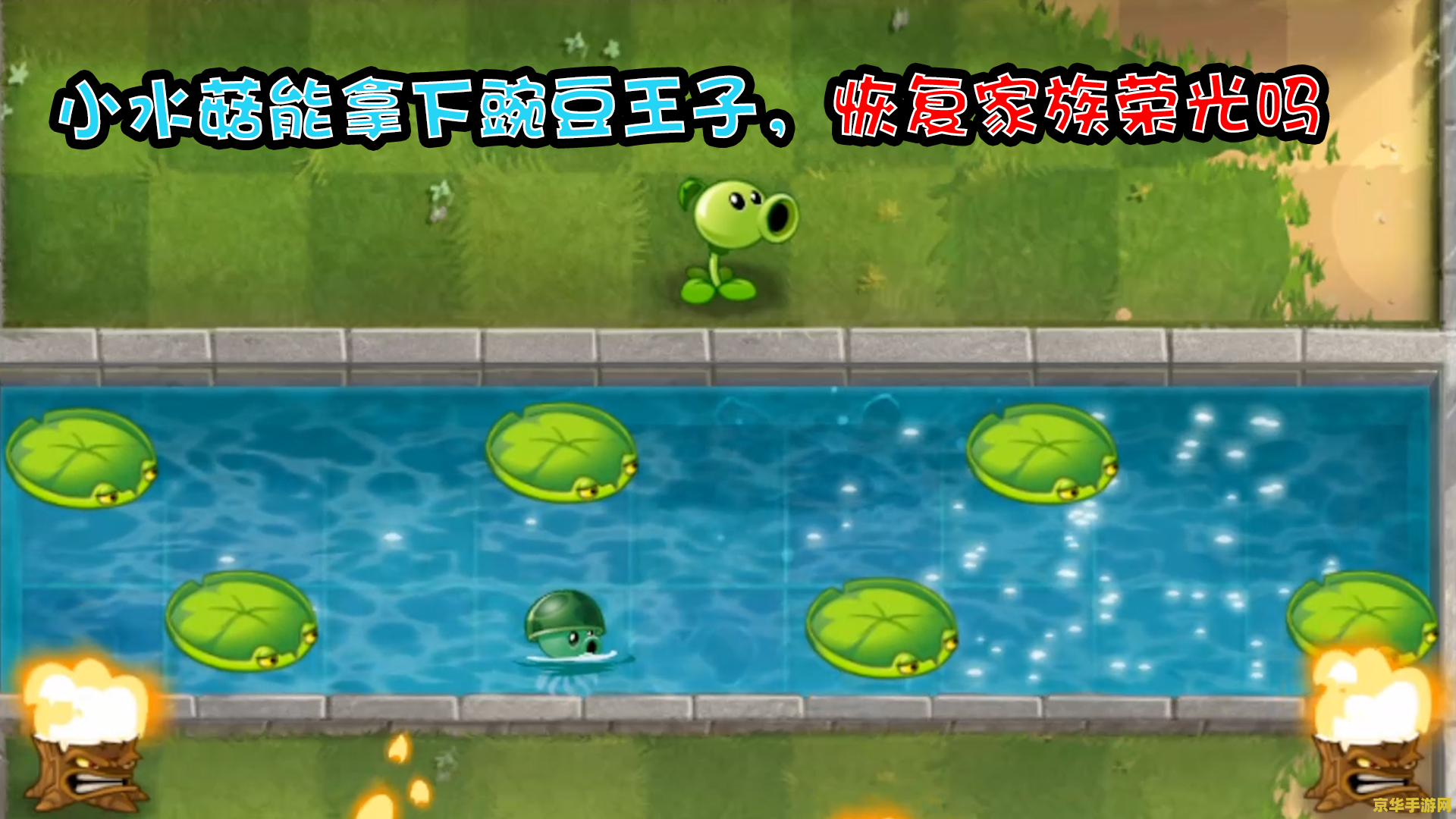 植物大战僵尸水生植物