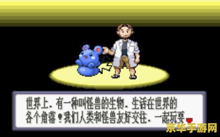 游戏名称：口袋妖怪太阳