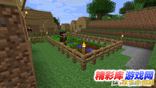 我的世界村庄mod游戏体验及分析