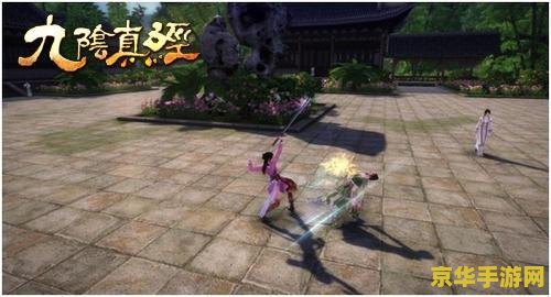 九阴真经君子堂逍遥腿法