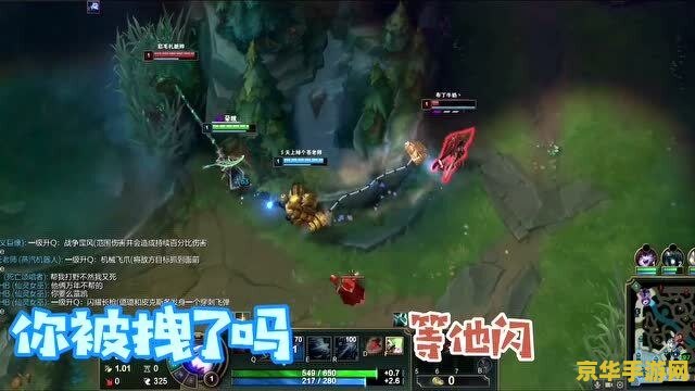 王者荣耀中的冰脉指的是什么意思 王者荣耀中的冰脉指的是什么**