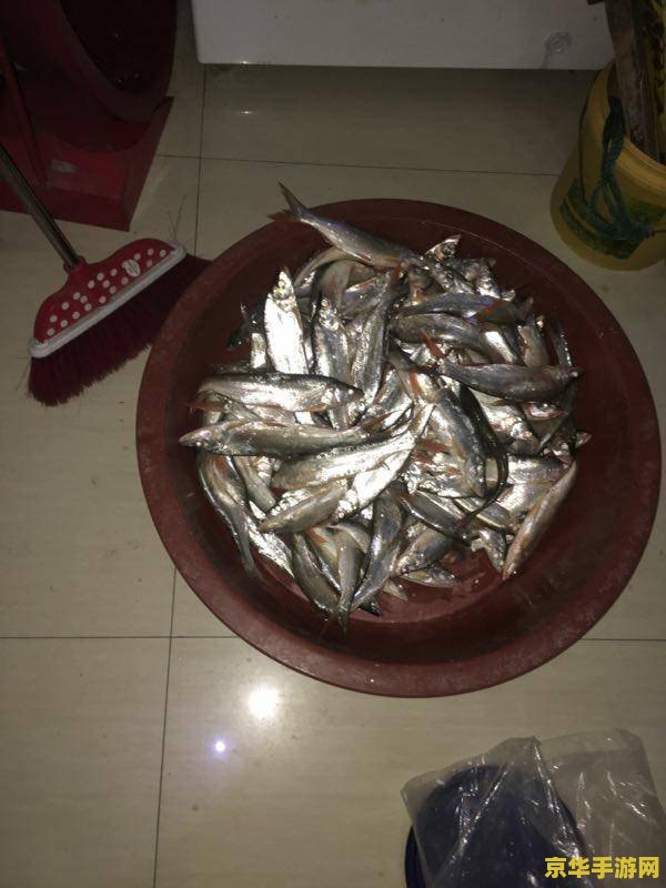 原神鱼叉钓鱼鱼饵有哪些