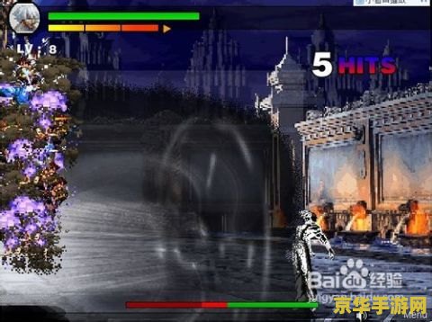无双大蛇大阪城之战 游戏名称：无双大蛇 - 大阪城之战