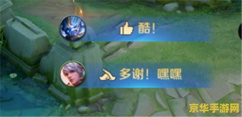 王者荣耀贵族2要用多少