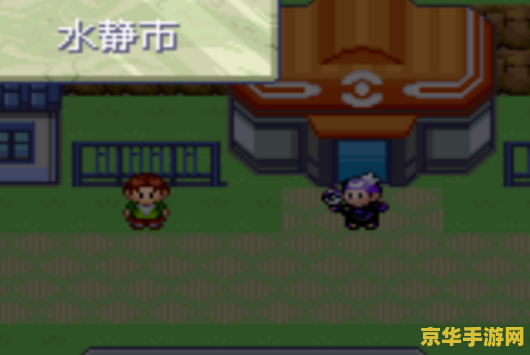 口袋妖怪黑白图鉴
