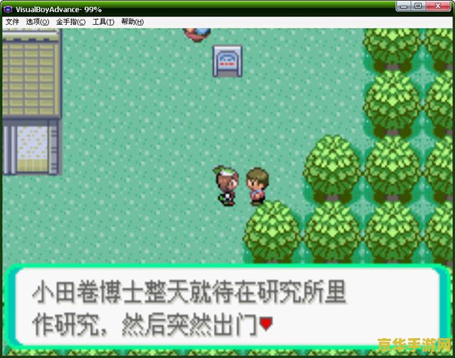 口袋妖怪蓝宝石游戏概述