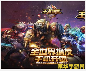 王者荣耀把战队升到满级要多少钱啊 王者荣耀：战队升级至满级所需费用详解