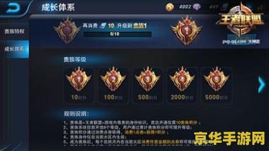 王者荣耀最高vip多少钱