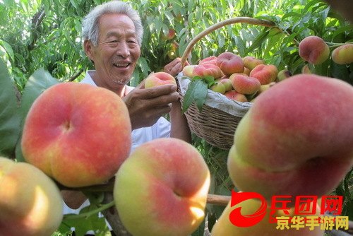 原神离岛逃离计划太难 原神离岛逃离计划：挑战与机遇的交织之旅