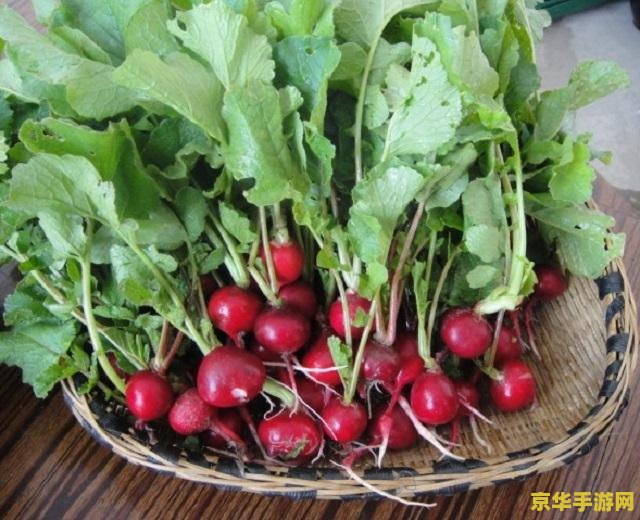 原神中萝卜在哪里能找到