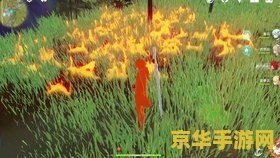 洛克王国时空辅助最新版 洛克王国时空辅助最新版