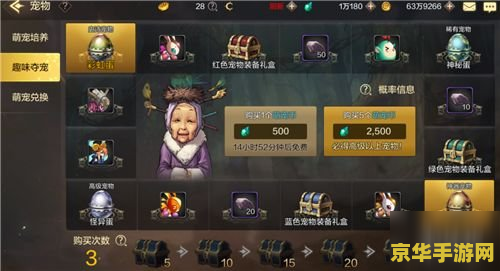 DNF免费领取宠物的游戏攻略