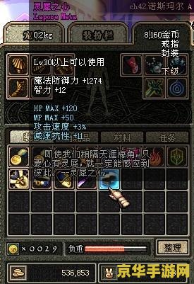 DNF灵犀之心：游戏中的情感与策略