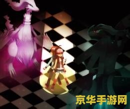 口袋妖怪黑白攻略