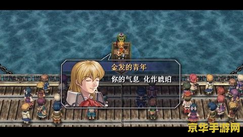 **艾尔之光蕾娜加点攻略：深度解析与实战应用**