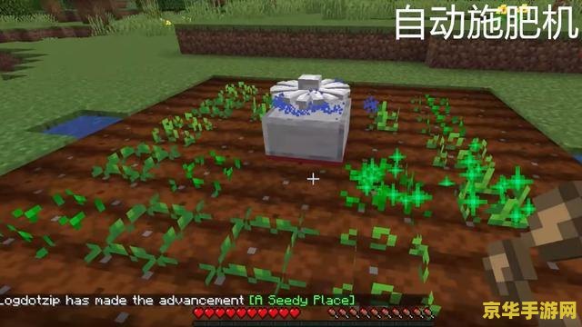 我的世界皮肤 - 玩家创意与个性的展示
